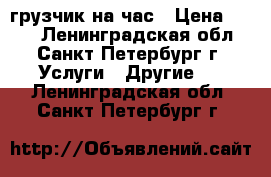 грузчик на час › Цена ­ 250 - Ленинградская обл., Санкт-Петербург г. Услуги » Другие   . Ленинградская обл.,Санкт-Петербург г.